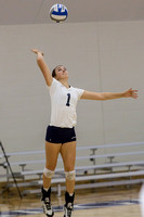 Walsh at Hillsdale College Volleyball Oct 5 2013