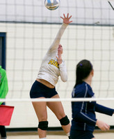 Hillsdale High Varsity Volleyball at Columbia Central League Oct 29 2013