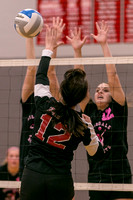 HILLSDALE HIGH VOLLEYBALL AT ADDISON OCT 31 2013
