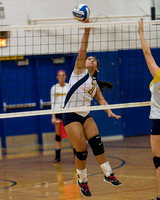 Erie Mason at Hillsdale High Volleyball Oct 15 2013