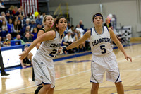 Walsh at Hillsdale College Womens Basketball Feb 22 2014